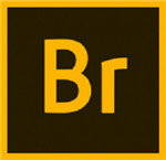 Adobe Bridge 2020(文件管理器)v10.0中文破解版