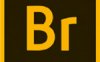 Adobe Bridge 2020(文件管理器)v10.0中文破解版