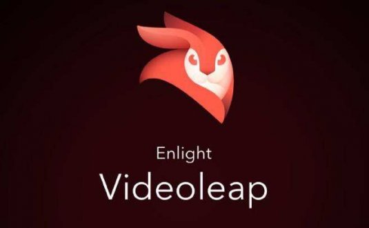 Videoleapv1.0.6付费专业破解版