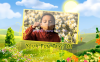 FCPX插件-春意盎然动态幻灯片