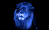 视频素材-漂亮的幽灵狮