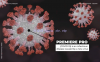 硬核PR模板-新型冠状病毒介绍标题