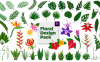 硬核PR模板-花卉植物设计包