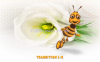AE模板-蜜蜂角色动画套件