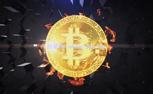 硬核AE模板-比特币LOGO徽标显示