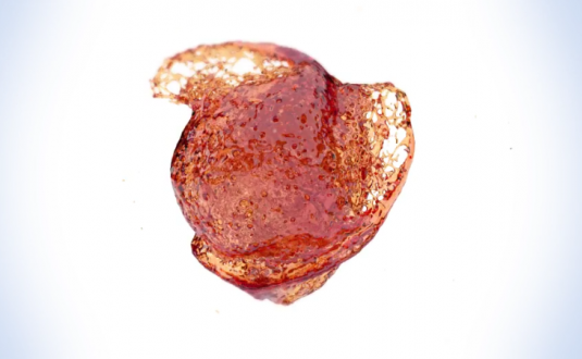 PR模板-混合液体徽标