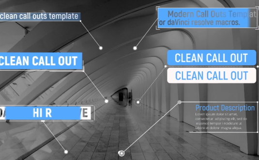 DR模板-20个干净的标注