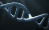 AE模板-DNA标志