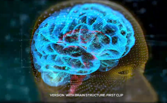 硬核AE模板-大脑结构
