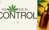 PR模板-大麻产品促销
