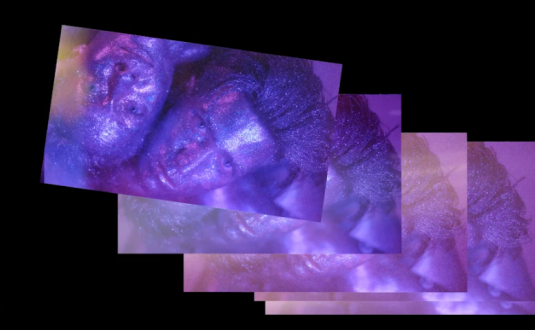 硬核PR模板-图像叠加效果